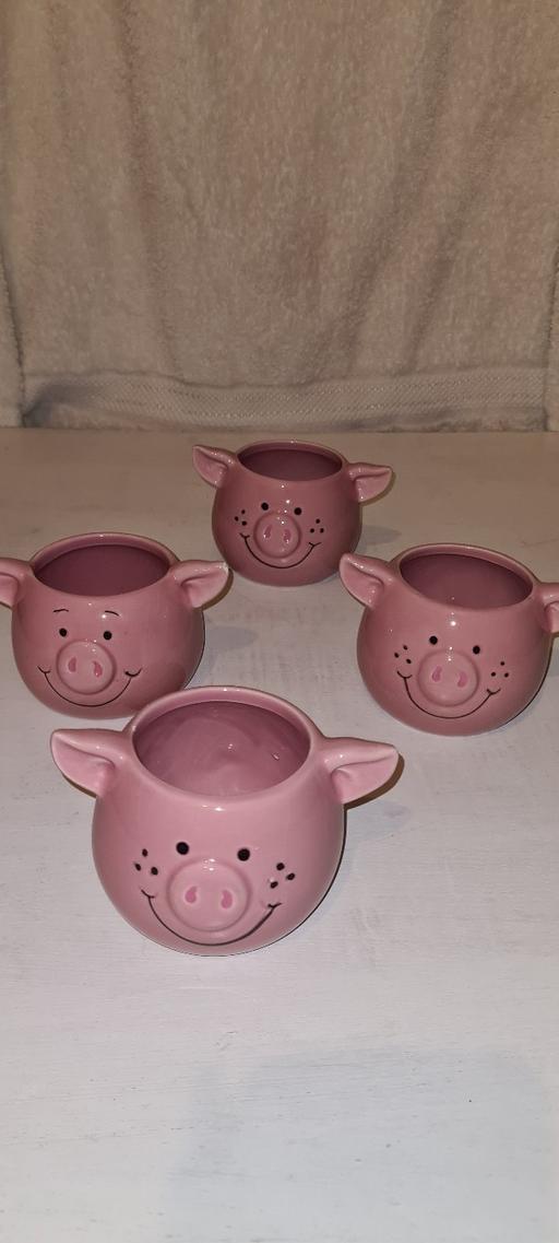 Buy & Sell North West London Cricklewood - North West London - Photos for Decoration pots.