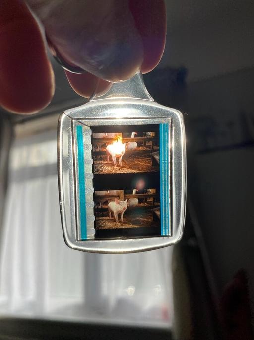 Buy & Sell Hampshire Test Valley - Photos for Charlottes Web film cell key ring