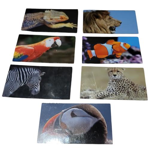 Buy & Sell Nottinghamshire Broxtowe - Photos for magnets fridge quality printed animals