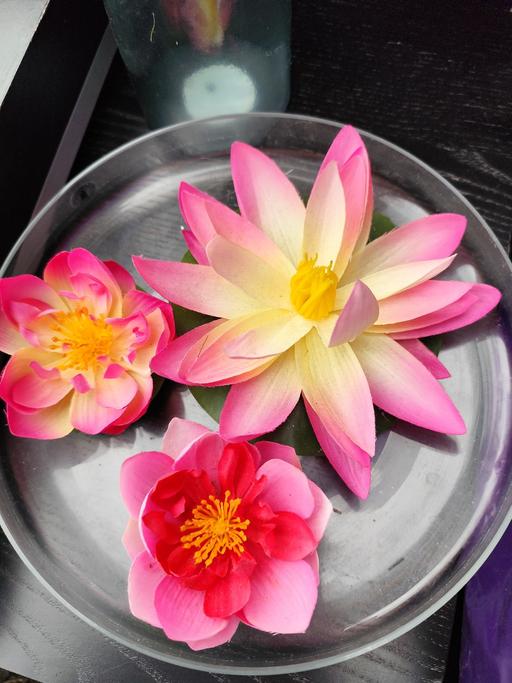 Buy & Sell West Midlands Birmingham - Photos for Floating Lotus Flowers with Glass Dish