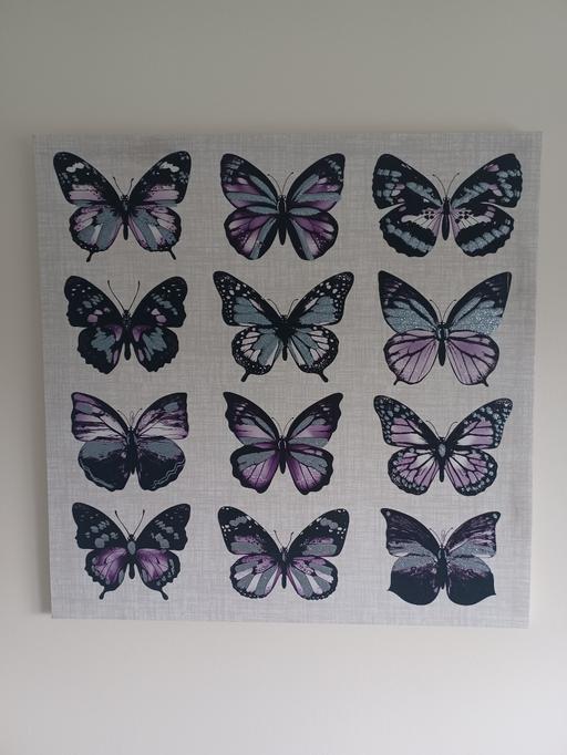 Buy & Sell Derbyshire North East Derbyshire - Photos for butterfly canvas