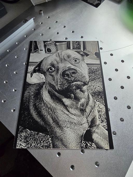 Buy & Sell West Midlands Sandwell - Photos for personalised pet portrait anodised alum