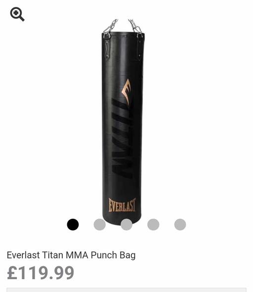 Buy & Sell West Midlands Birmingham - Photos for Everlast Titan MMA Punch Bag