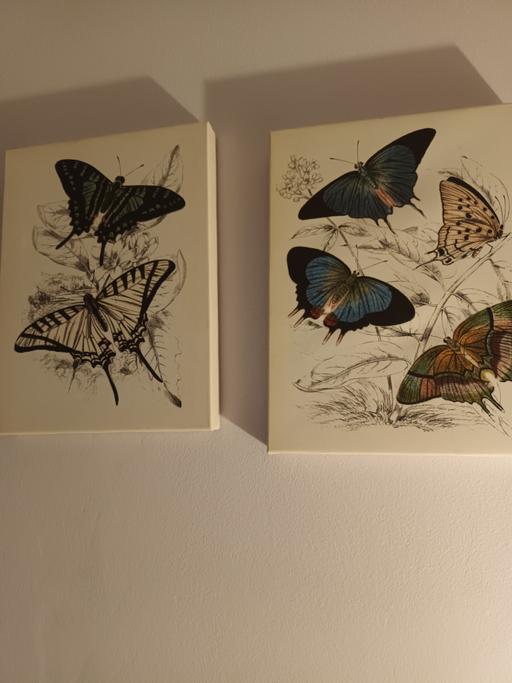 Buy & Sell Peterborough Orton Brimbles - Peterborough - Photos for Butterfly pictures x 2