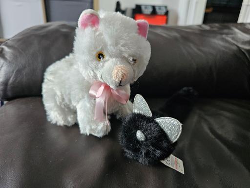 Buy & Sell South Yorkshire Sheffield - Photos for cat soft toy and snapband