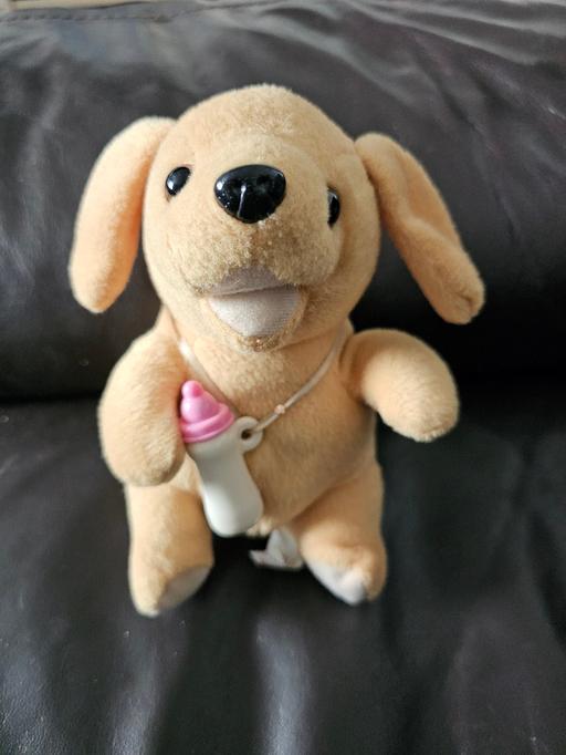 Buy & Sell South Yorkshire Sheffield - Photos for dog soft toy