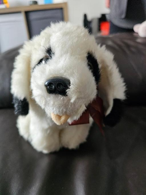 Buy & Sell South Yorkshire Sheffield - Photos for dog soft toy