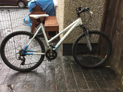 Buy & Sell Surrey Reigate and Banstead - Photos for RALEIGH ALL TERRAIN 10 mountain bikes