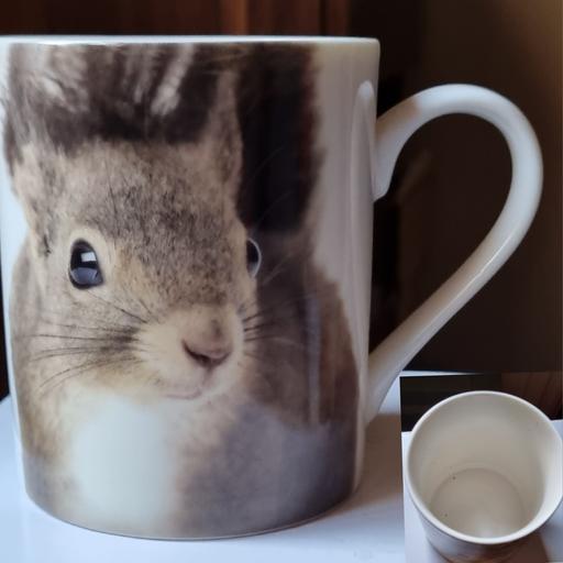 Buy & Sell Merseyside Liverpool - Photos for Mugs two woodland baby animal 