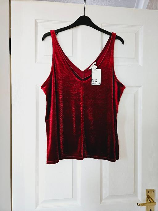 Buy & Sell South Yorkshire Doncaster - Photos for H&M velour top, size large..NEW with tags