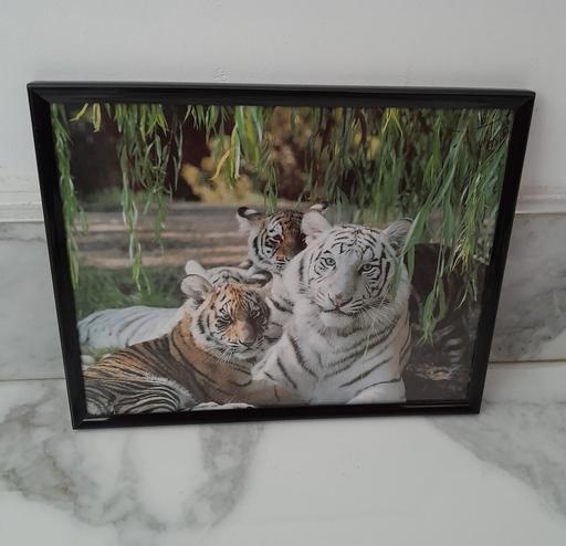 Buy & Sell West Midlands Birmingham - Photos for White Tiger Picture Frame 10 x 8 inches