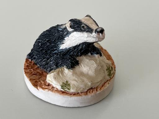 Buy & Sell North Yorkshire Harwood Dale - North Yorkshire - Photos for PETER FAGAN BADGER MINIATURE