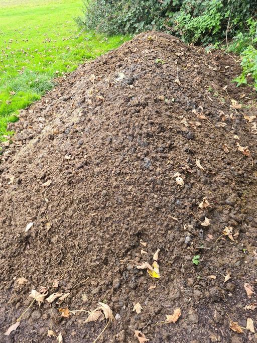 Buy & Sell Worcestershire Bromsgrove - Photos for Horse Manure