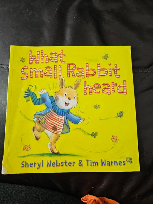 Buy & Sell South Yorkshire Sheffield - Photos for what small rabbit heard
