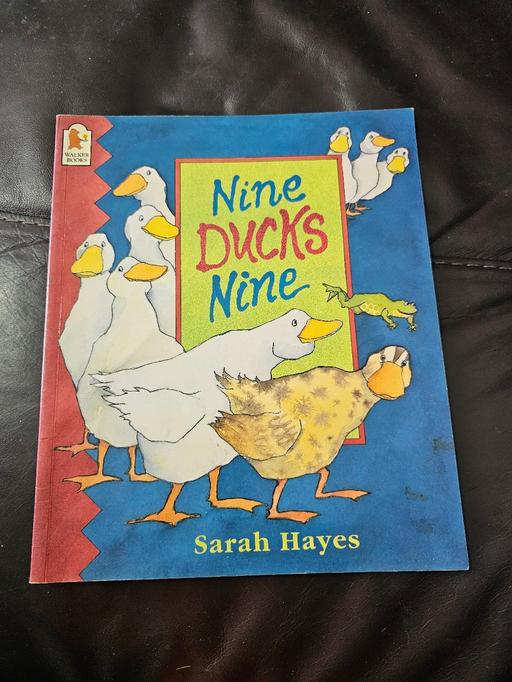 Buy & Sell South Yorkshire Sheffield - Photos for nine ducks nine