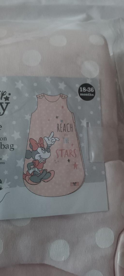 Buy & Sell West Midlands Birmingham - Photos for Disney baby sleep bag 18 to 36 mths