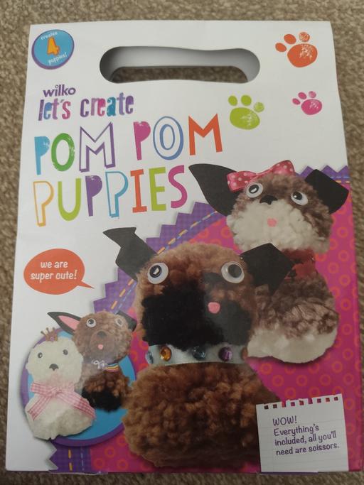 courses Tyne and Wear Sunderland - Photos for art create pom pom puppies