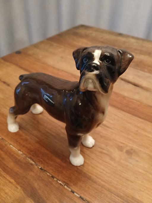 Buy & Sell Greater Manchester Trafford - Photos for Coopercraft collectable Boxer dog