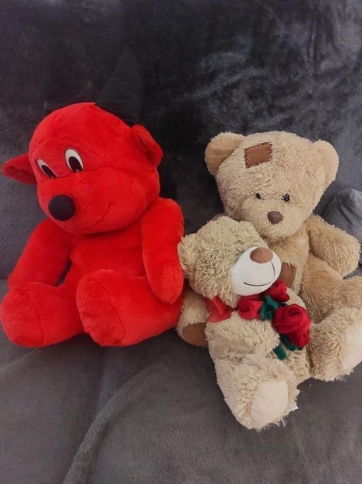 Buy & Sell Derbyshire Bolsover - Photos for teddies