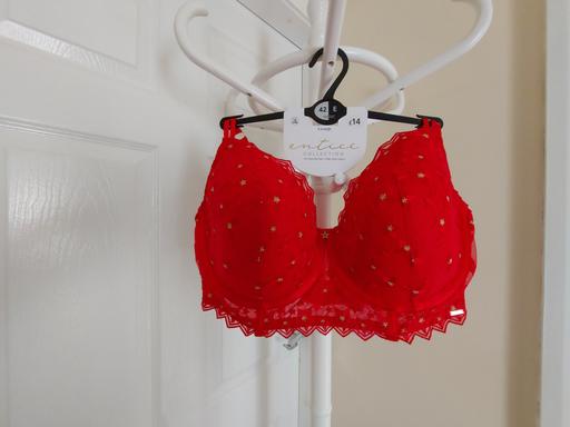 Buy & Sell Lancashire Pendle - Photos for Bra“George”Underwire Size: 42E (UK)