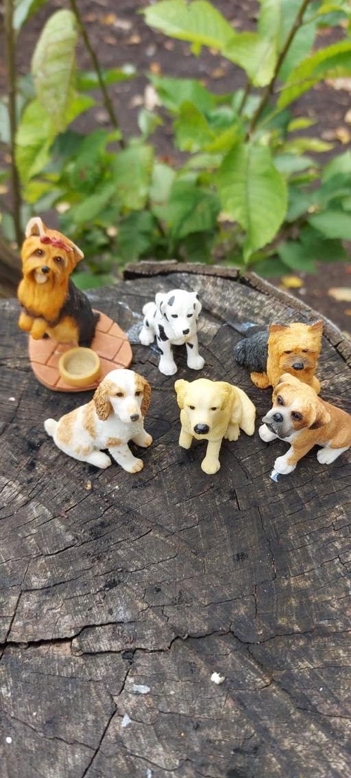 Buy & Sell Kent Dartford - Photos for Dog ornaments