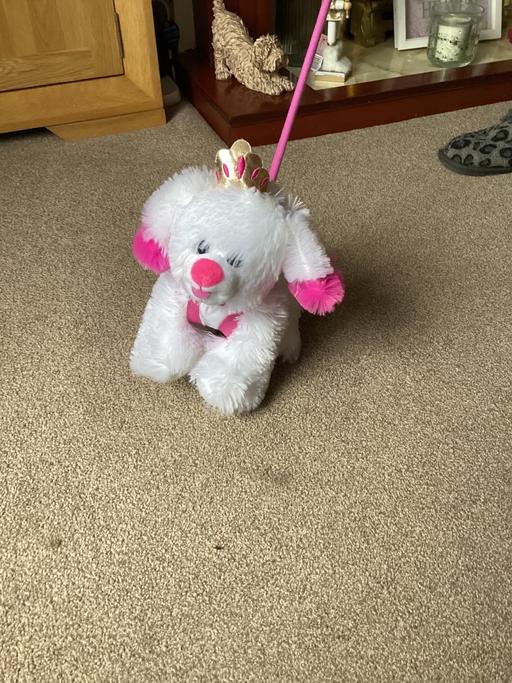 Buy & Sell Kent Maidstone - Photos for Pink puppy dog