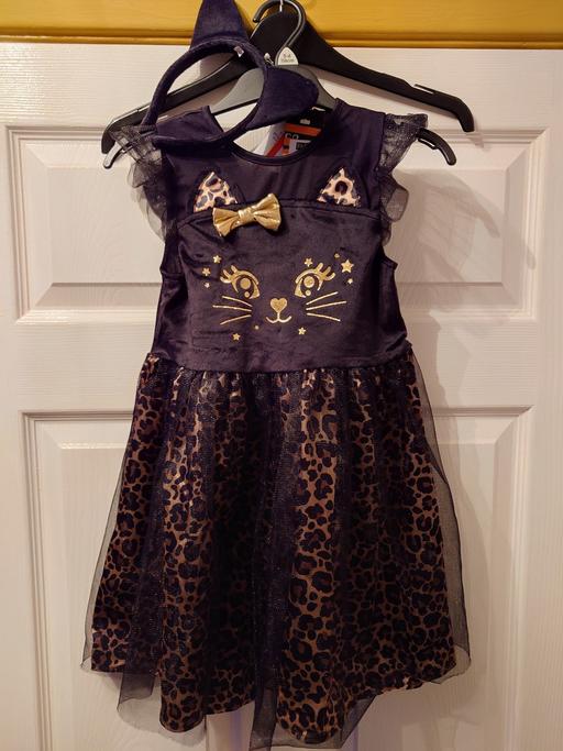 Buy & Sell Leicestershire Charnwood - Photos for Girls cat Halloween costume size 5-6 years