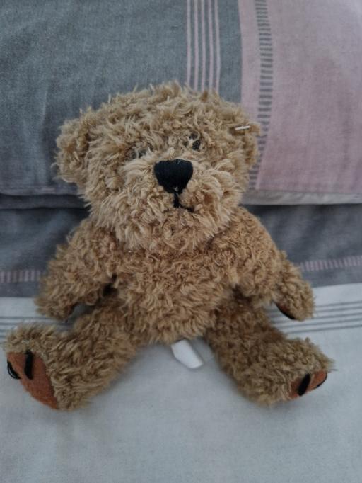 Buy & Sell Derbyshire Amber Valley - Photos for Little seated teddy🧸