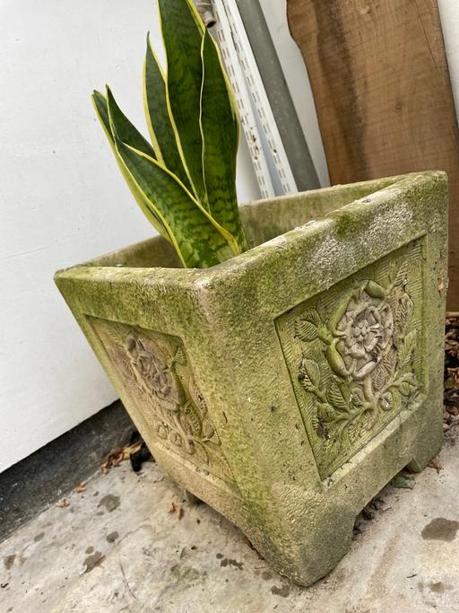 Buy & Sell West London Bayswater - West London - Photos for Square constituted stone plant pot