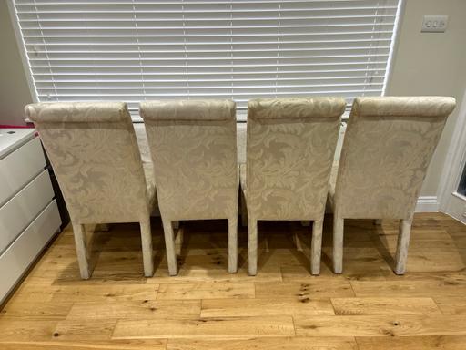 Buy & Sell Surrey Spelthorne - Photos for Dining chairs