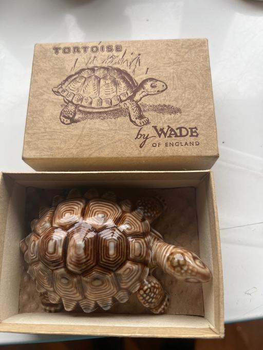 Buy & Sell Cardiff Splott - Cardiff - Photos for Wade tortoise