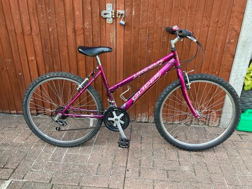 Buy & Sell Surrey Mole Valley - Photos for Bikes mountain bike