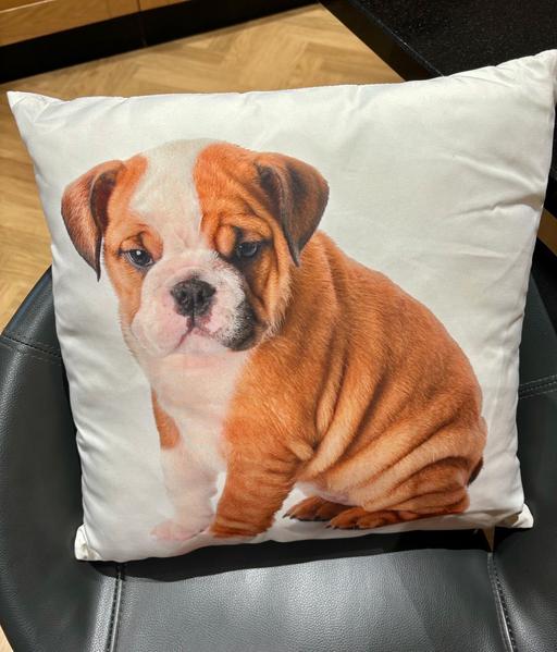 Buy & Sell Nottinghamshire Ashfield - Photos for NEW Beautiful Bulldog 🐕 Cushion (No tags)