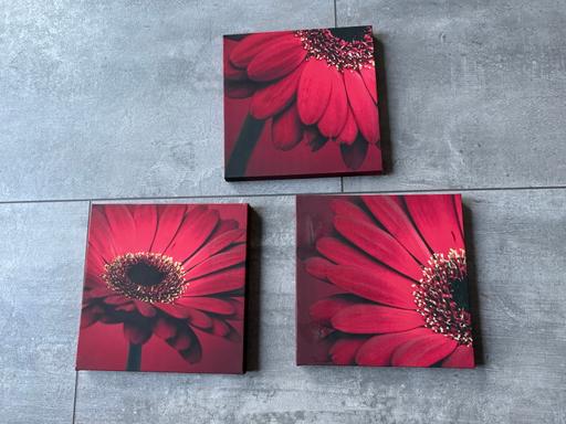 Buy & Sell West Midlands Coventry - Photos for 3 Red flower canvas