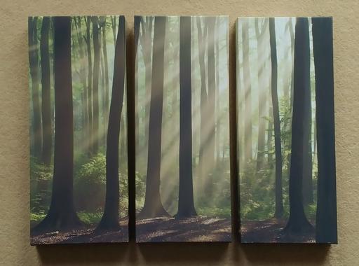 Buy & Sell Kent Dartford - Photos for Picture - Canvas 3 piece