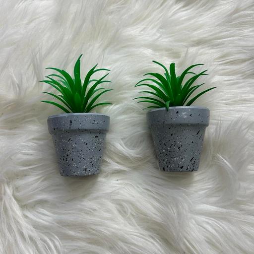 Buy & Sell West Midlands Birmingham - Photos for Pair of cactuses grey pot 2.4 x 2.4 inch 