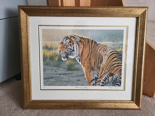 Buy & Sell Kent Medway - Kent - Photos for TIGER PRINT FRAMED IN GOLD FOIL AUTHENTIC OSB