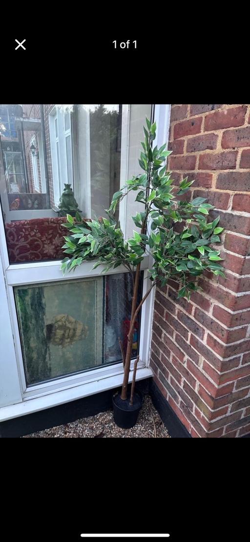 Buy & Sell South East London East Wickham - South East London - Photos for Indoor or outdoor artificial plant in pot