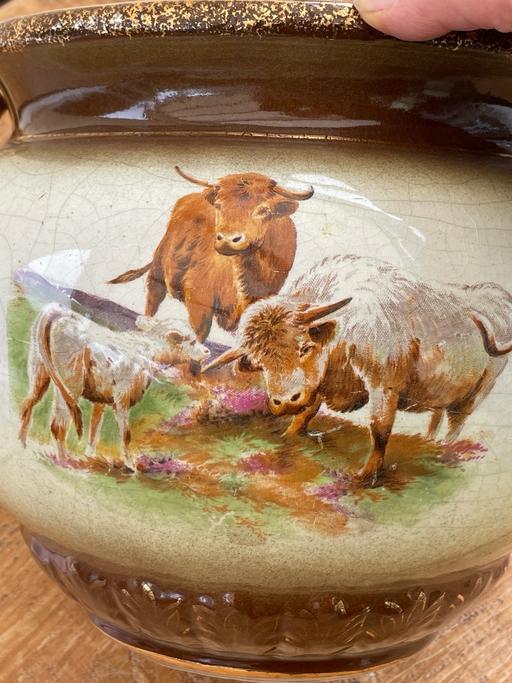 Buy & Sell Cheshire East Over Alderley - Cheshire East - Photos for Large Antique Highland cattle Jardiniere