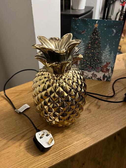 Buy & Sell West Midlands Dudley - Photos for Pineapple Lamp New With Tags