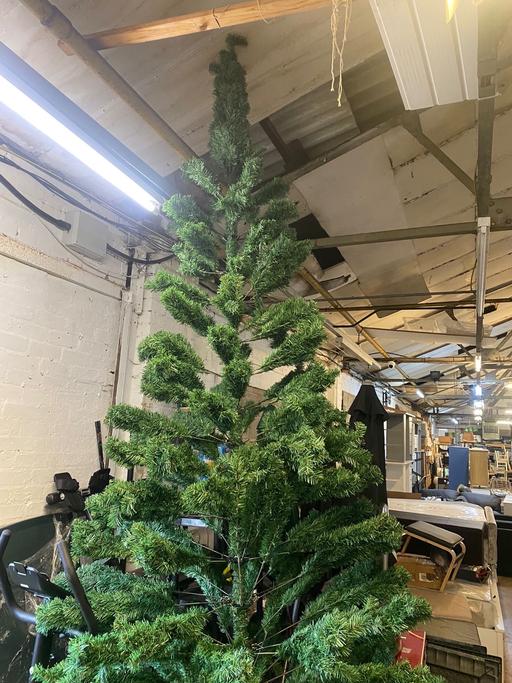 Buy & Sell Warwickshire Warwick - Photos for 12ft Majestic Noel Pine Christmas Tree