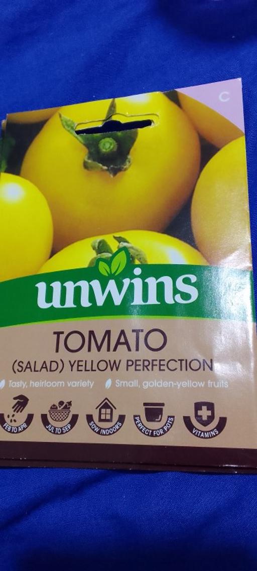 Buy & Sell East London Upton Park - East London - Photos for unwins yellow tomato seeds