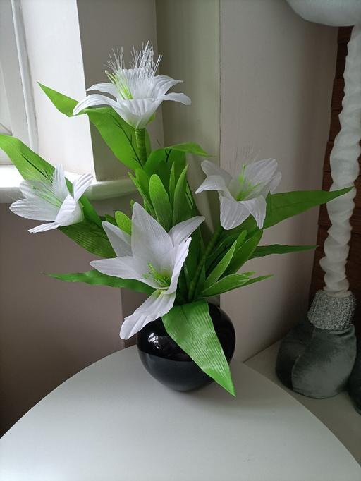 Buy & Sell Derbyshire Chesterfield - Photos for Christmas Fibre Optic White Lillies