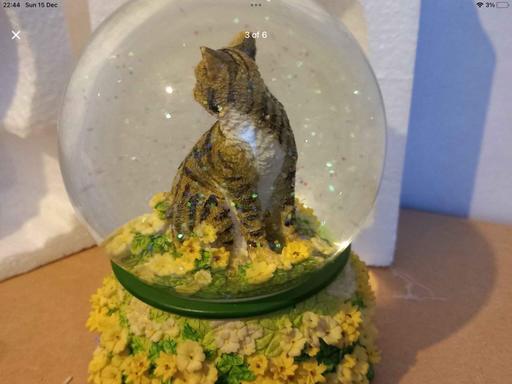 Buy & Sell Kent Dartford - Photos for Musical Cat Snow globe £8