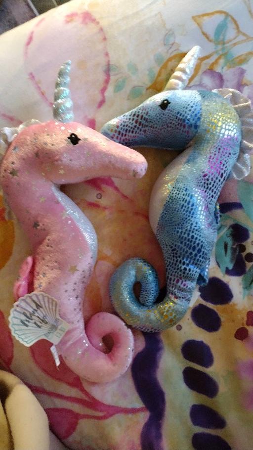 Buy & Sell Greater Manchester Manchester - Photos for SEAHORSES 1 BLUE 1 PINK PRICE FOR BOTH