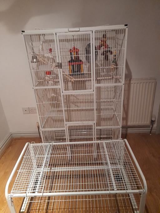 Buy & Sell West Midlands Birmingham - Photos for Cage for Parrot