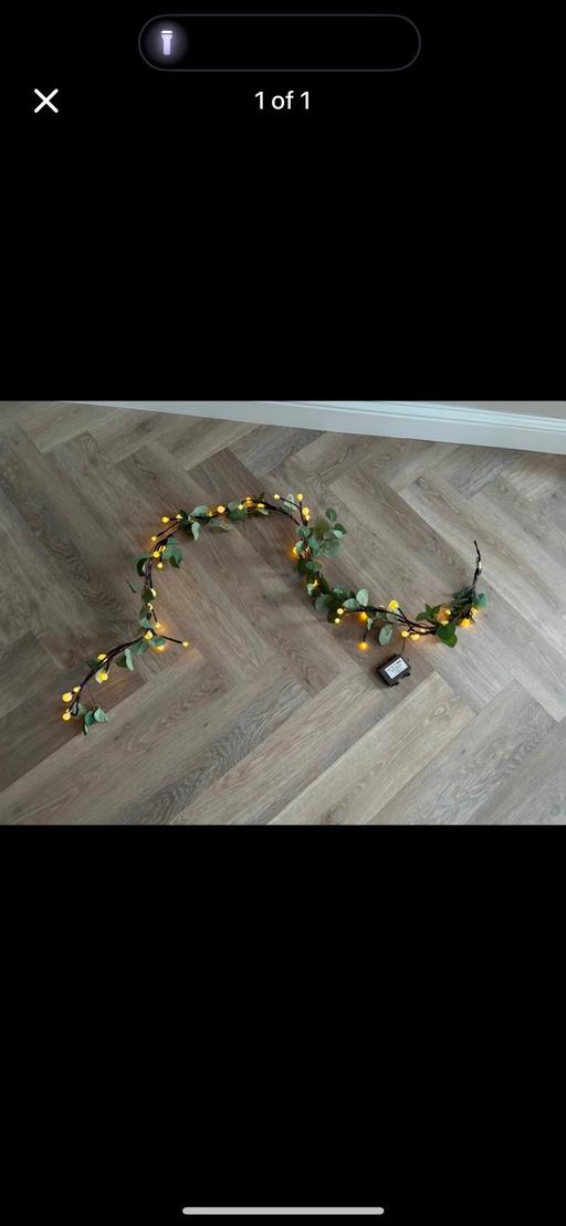 Buy & Sell Staffordshire Lichfield - Photos for Light Up Garland