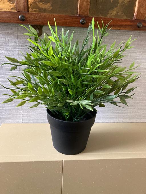 Buy & Sell East London East Ham - East London - Photos for Artificial plant