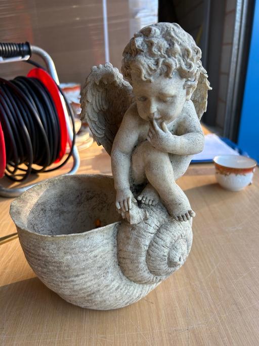 Buy & Sell Worcestershire Redditch - Photos for Baby Angel Shell plant pot