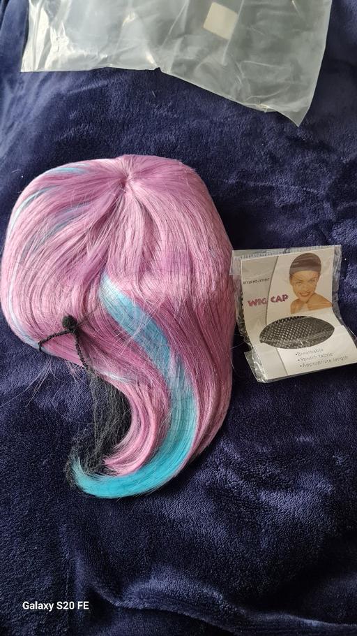 Buy & Sell West Midlands Walsall - Photos for New pink and blue wig